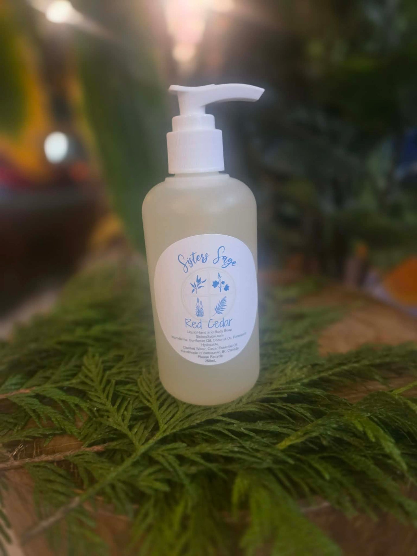 Red Cedar Hand and Body Wash