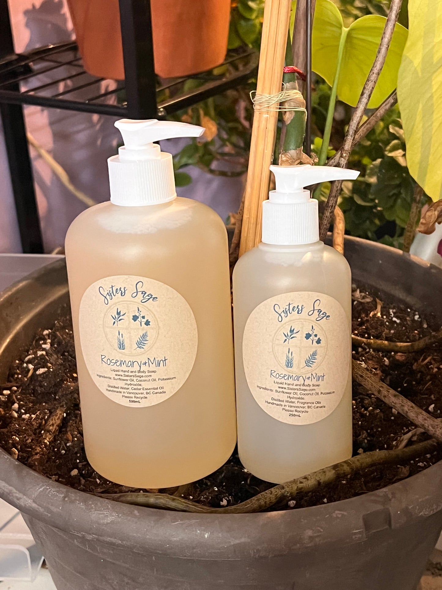 Rosemary + Mint Hand and Body Wash
