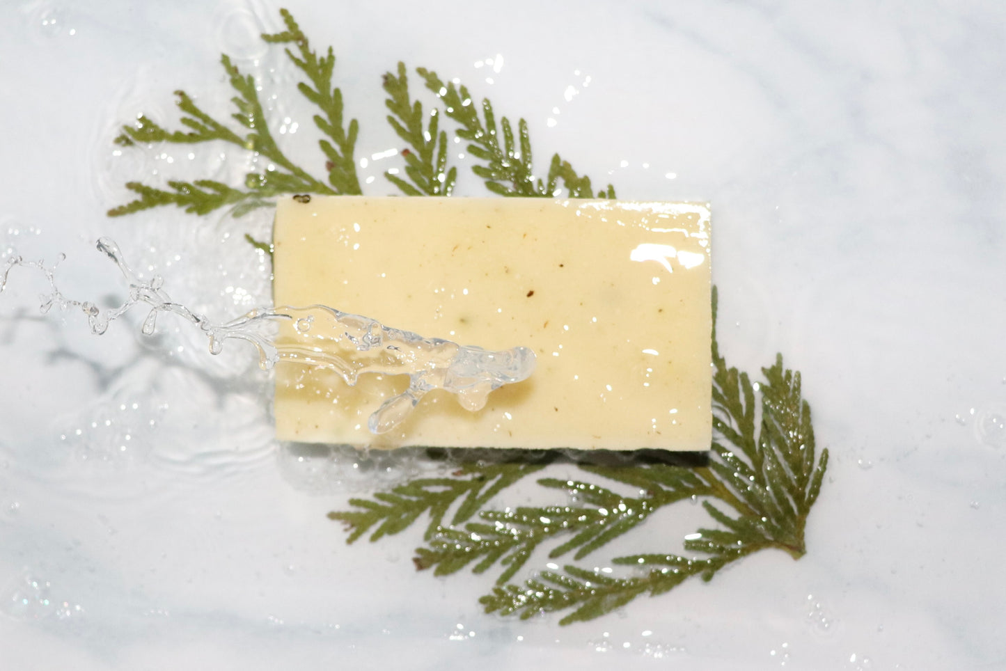 Cedar Soap